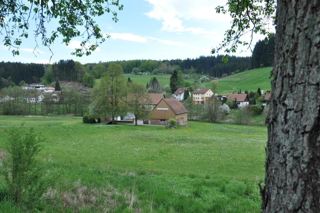 Ferienwohnungen Zur Muehle Mossautal Exterior foto